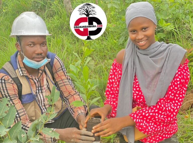 Kankan : L’association des jeunes de Batè-Nafadji s’active dans le reboisement.