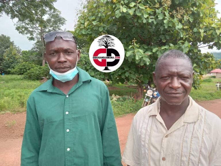 Dabola : les jeunes du quartier Foudeng se mettent en action pour l’assainissement de leur cimetière.