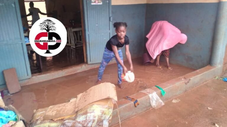 Mandiana : une inondation engendre des dommages considérables au principal marché de la préfecture.