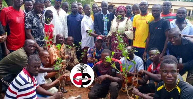 Kouroussa : Les Baratiguis de Sanguiana mènent des activités de reboisement dans leur localité. 