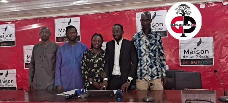 Conakry : un nouveau parti politique fait officiellement son entrée.(YOUNG GOUVERNEMENT)