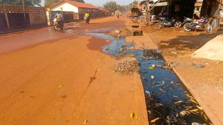 L’insalubrité à Siguiri : Où est donc passée la commission en charge de l’assainissement de la ville ?