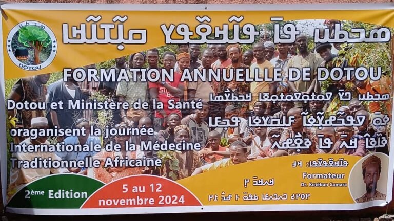 Kankan : Ouverture de la deuxième édition de la journée mondiale de la médecine africaine. 