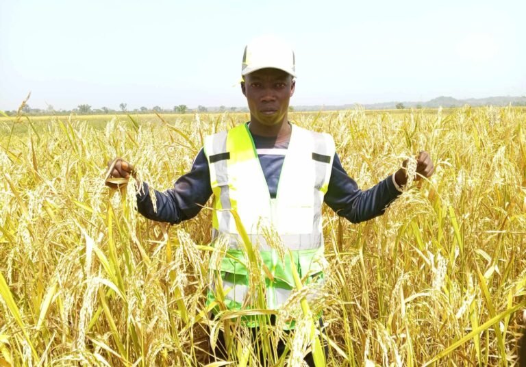 Haute-Guinée : À la rencontre de Lonceny CONDÉ, technicien chimiste et passionné de l’agriculture